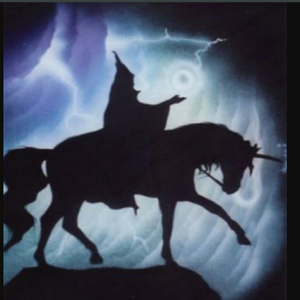 COPY - WIZARD ON HORSEBACK Airbrushed T-shirt Custom MENS